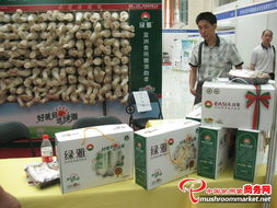 智能制造新紀(jì)元 歷屆工廠化會展特裝展位的技術(shù)咨詢與實踐